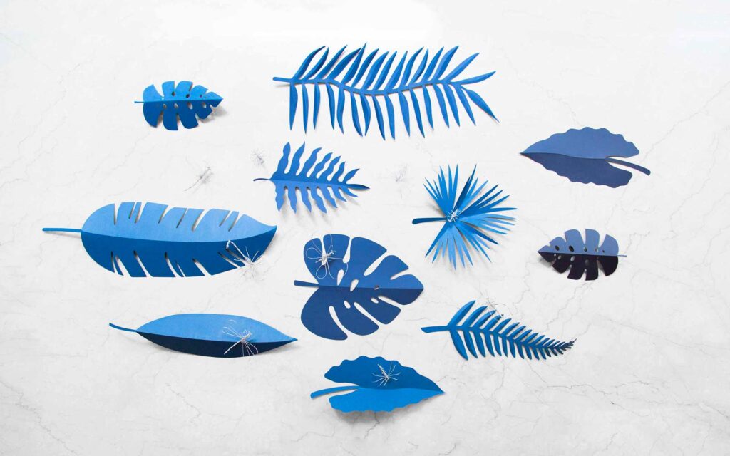 Collezione AnimaLed